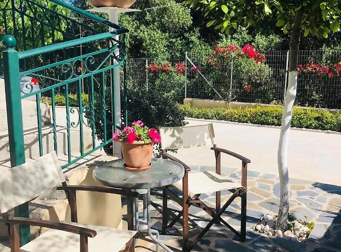 Apartman Strelitzia *