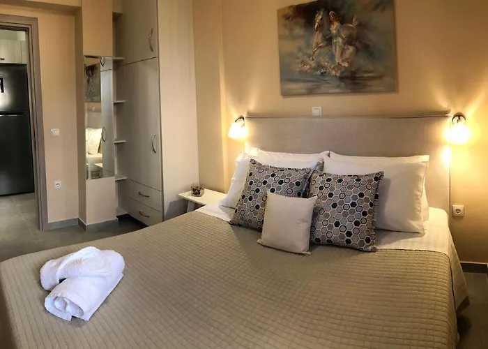 Apartman Strelitzia *