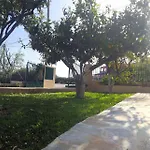 Strelitzia شقة *