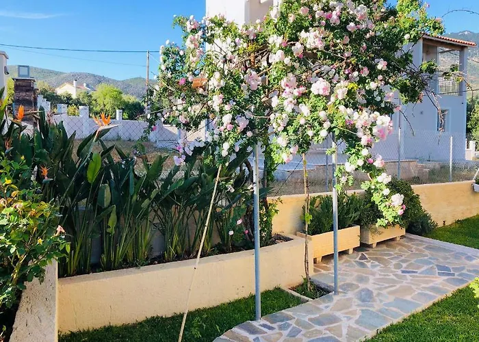 Strelitzia Apartment