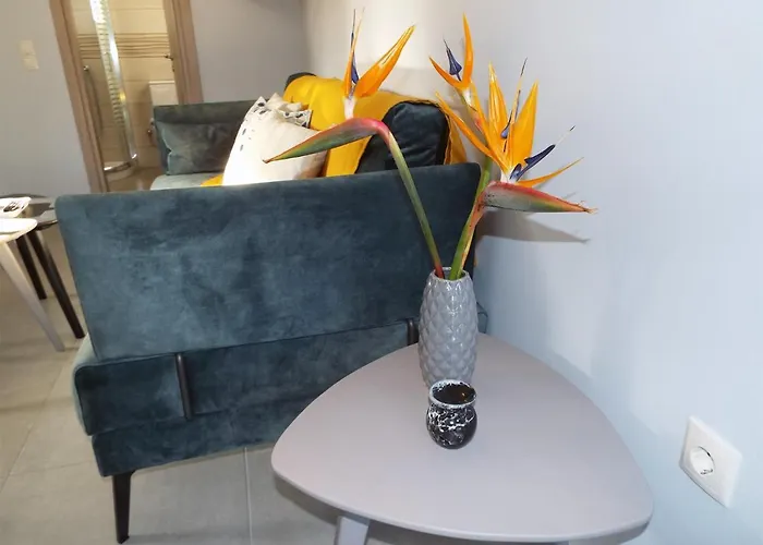 Strelitzia Apartment Karavados