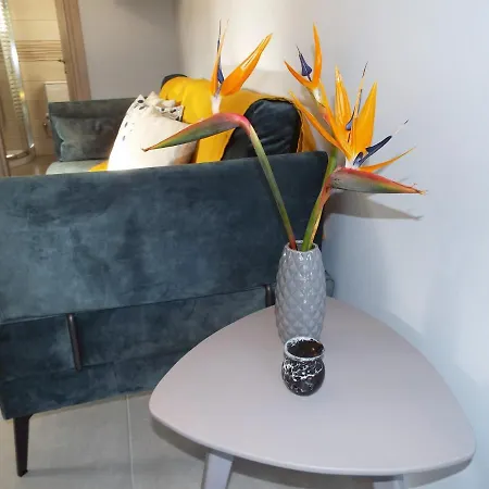 Strelitzia Appartamento Karavádhos